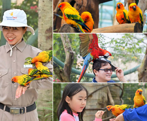 Đà Nẵng → VinWonders Nam Hội An