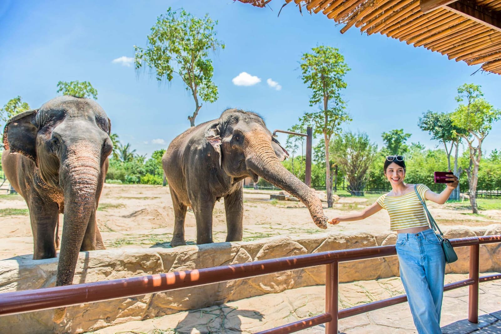 Đà Nẵng → VinWonders Nam Hội An